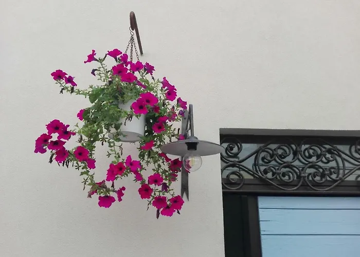 Bed & Breakfast Tambien